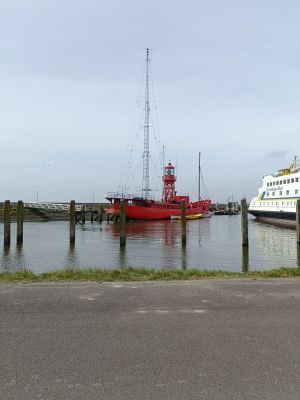 IMG20240510123941.jpg