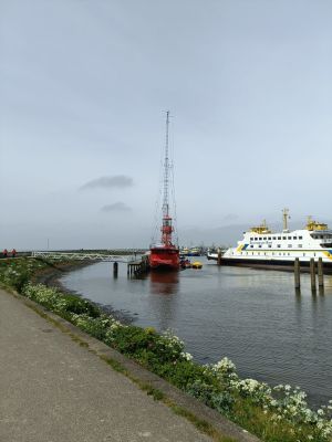 IMG20240510124201.jpg