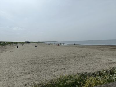 IMG20240510124220.jpg