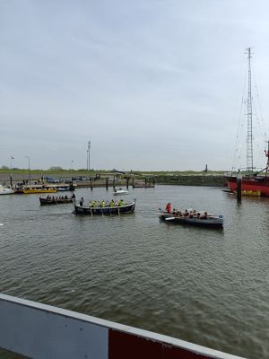 IMG20240510140154.jpg